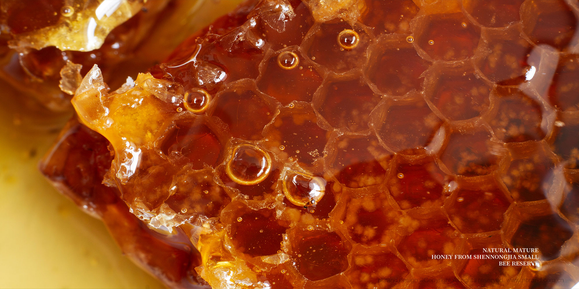 �샞(y��u)������������ʳƷ���b�O(sh��)Ӌ(j��),�Y���O(sh��)Ӌ(j��),�߶�Ʒ���O(sh��)Ӌ(j��)